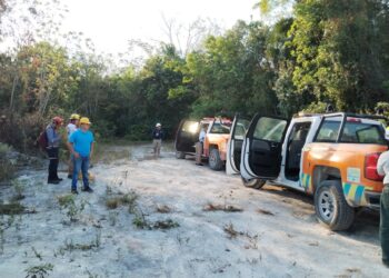 Puerto Morelos, sin reporte de incendios forestales en Temporada 2023