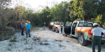 Puerto Morelos, sin reporte de incendios forestales en Temporada 2023