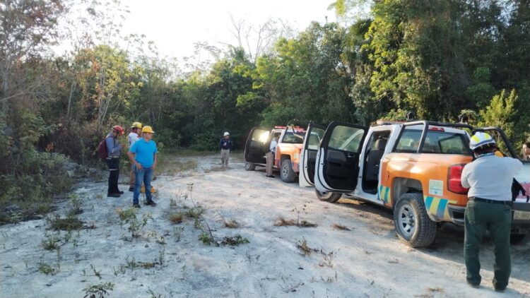 Puerto Morelos, sin reporte de incendios forestales en Temporada 2023