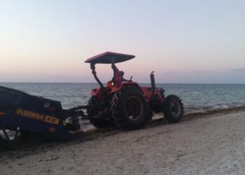 Redobla gobierno de Puerto Morelos acciones para mantener limpias playas del destino