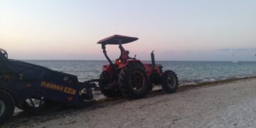 Redobla gobierno de Puerto Morelos acciones para mantener limpias playas del destino