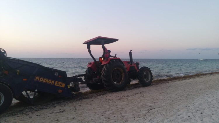 Redobla gobierno de Puerto Morelos acciones para mantener limpias playas del destino