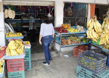 Gobierno de Blanca Merari anuncia jornada de “Pon al día tu negocio” en Leona Vicario