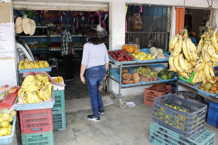 Gobierno de Blanca Merari anuncia jornada de “Pon al día tu negocio” en Leona Vicario