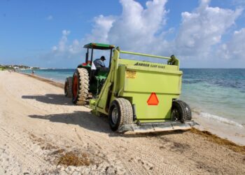 Sociedad y autoridades suman esfuerzos para levantar sargazo en Puerto Morelos