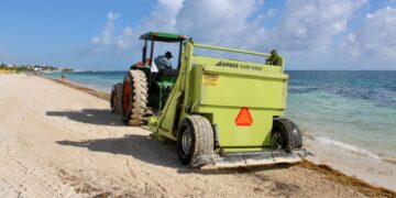 Sociedad y autoridades suman esfuerzos para levantar sargazo en Puerto Morelos
