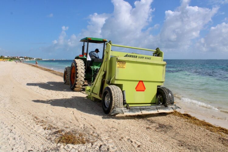 Sociedad y autoridades suman esfuerzos para levantar sargazo en Puerto Morelos