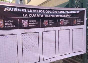 Realizará PT ejercicio ciudadano sobre aspirantes de la 4T a la presidencia: Patricia Casados