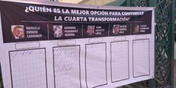 Realizará PT ejercicio ciudadano sobre aspirantes de la 4T a la presidencia: Patricia Casados