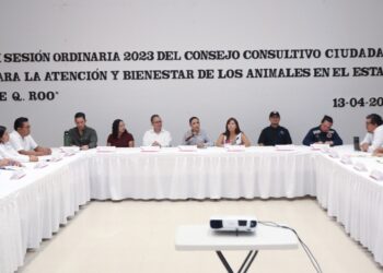En Puerto Morelos reactivan Sesiones del Consejo Consultivo Ciudadano para Bienestar de los Animales