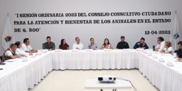 En Puerto Morelos reactivan Sesiones del Consejo Consultivo Ciudadano para Bienestar de los Animales