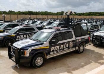 Y para lograr seguridad ¿bastan la voluntad y el presente?