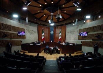 Resolverá TEPJF recurso del PAN contra designación de presidenta del INE