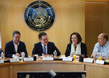 INE se compromete a justificar "cada peso" en proyecto de presupuesto 2024