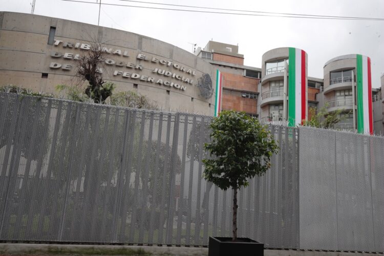 Anuncio de Claudia Sheinbaum sobre becas no es un acto anticipado de campaña: TEPJF