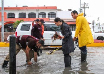 Ana Paty Peralta activa operativo tormenta en Cancún