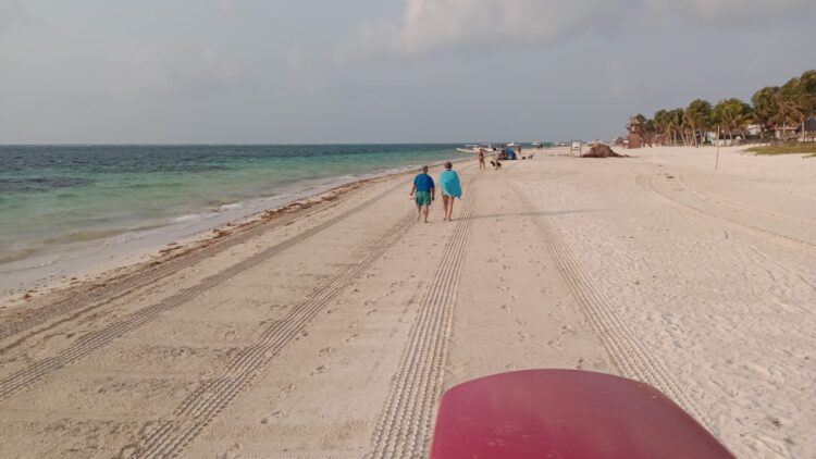 Disminuye el recale de sargazo a playas de Puerto Morelos