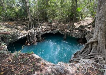 Ejidatarios de Quintana Roo denuncian despojo por construcción de megaciudad