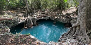 Ejidatarios de Quintana Roo denuncian despojo por construcción de megaciudad