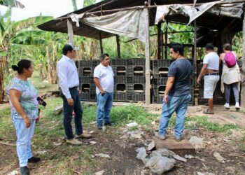 Gobierno de Puerto Morelos impulsa programa de aprovechamiento de residuos orgánicos