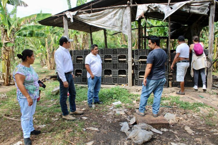 Gobierno de Puerto Morelos impulsa programa de aprovechamiento de residuos orgánicos