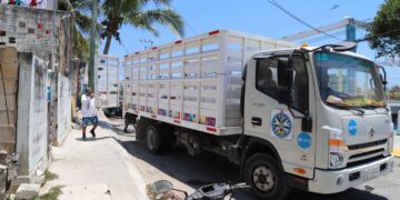 Continúan con buena respuesta al programa de descacharrización en Isla Mujeres
