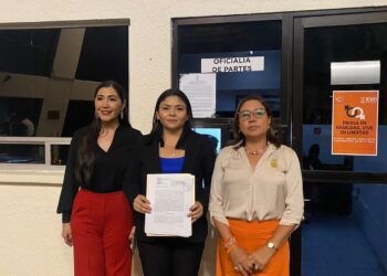 Van diputadas por reforma más fuerte en "Ley 3 de 3 contra la violencia hacia la mujer"