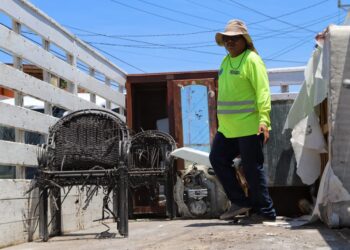 Gobierno de Isla Mujeres no baja la guardia con programa de descacharrización