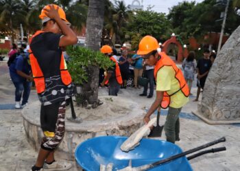 Embellece Atenea Gómez avenida Rueda Medina y sus alrededores con obra de rehabilitación