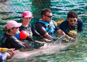 Logra Atenea Gómez más beneficios para las personas con discapacidad en Isla Mujeres