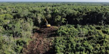 Diario Oficial de la Federación publica decreto de expropiación de terrenos para Tren Maya