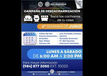 Gobierno de Playa del Carmen exhorta a combatir el dengue