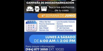 Gobierno de Playa del Carmen exhorta a combatir el dengue