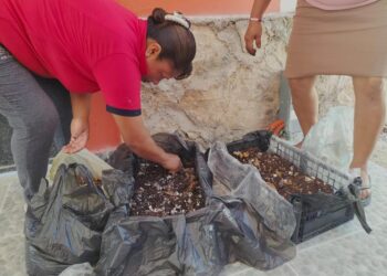 Impulsan en Playa del Carmen huertos orgánicos de autoconsumo y comercialización