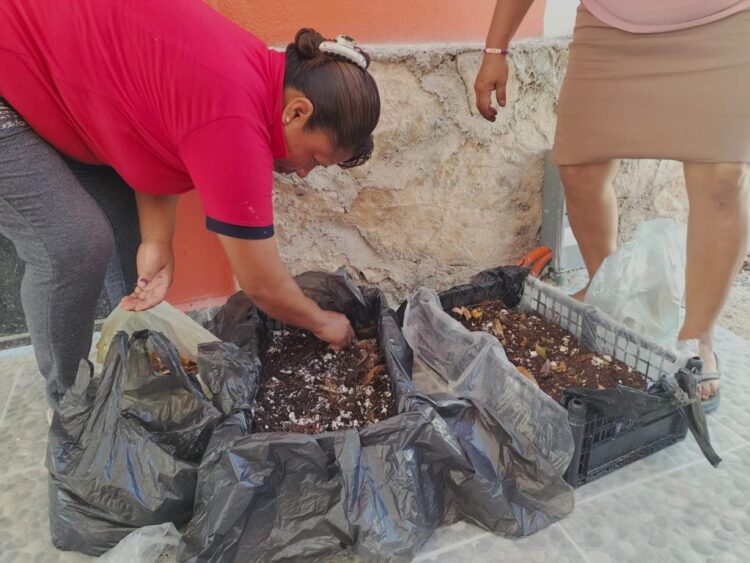 Impulsan en Playa del Carmen huertos orgánicos de autoconsumo y comercialización