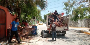 Servicios Públicos de Puerto Morelos emprende limpieza emergente de alcantarillas