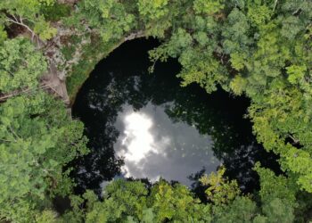 Anuncian conversatorio “El desarrollo sustentable, caso Ruta de los Cenotes en Puerto Morelos”