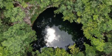 Anuncian conversatorio “El desarrollo sustentable, caso Ruta de los Cenotes en Puerto Morelos”