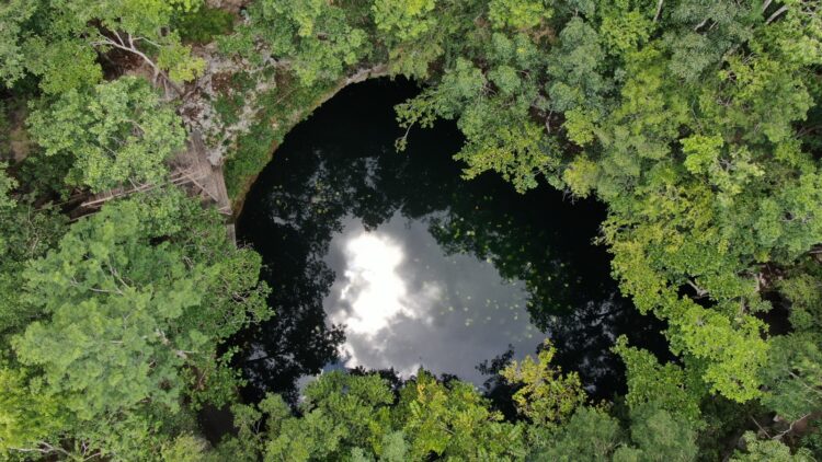 Anuncian conversatorio “El desarrollo sustentable, caso Ruta de los Cenotes en Puerto Morelos”
