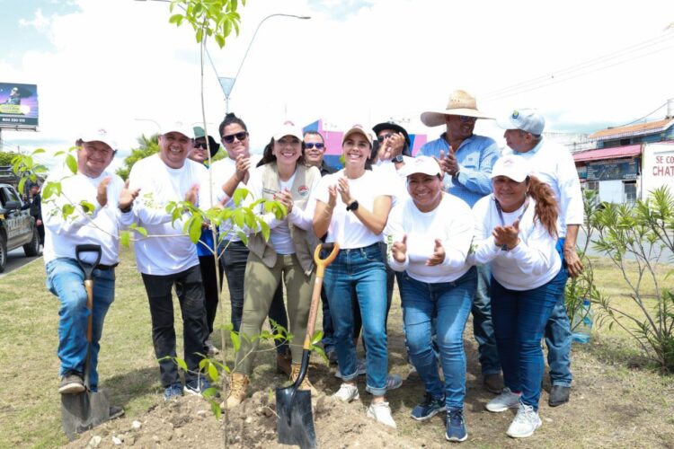 Ana Paty Peralta refuerza reforestación en Cancún
