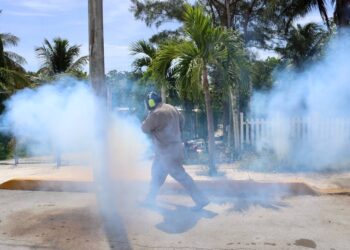 Fumigan en Puerto Morelos para combatir enfermedades transmitidas por vector