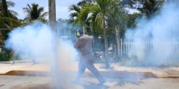 Fumigan en Puerto Morelos para combatir enfermedades transmitidas por vector