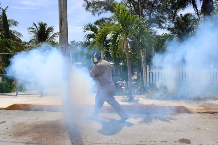 Fumigan en Puerto Morelos para combatir enfermedades transmitidas por vector