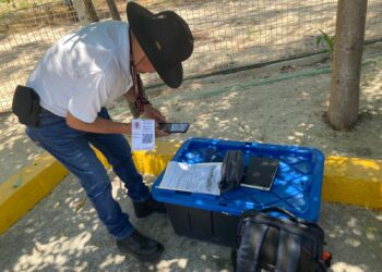 Ecología de Isla Mujeres entrega animales silvestres a la Profepa