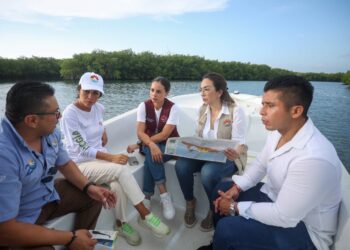 Ana Paty Peralta busca certificar a Cancún como “Ciudad Humedal”