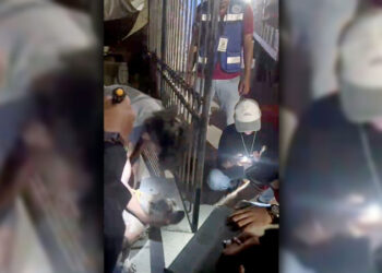 Cero tolerancia al maltrato animal en Solidaridad