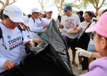 Exitosa Brigada de Limpieza en la Zona Continental de Isla Mujeres