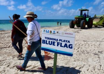 Zofemat de Puerto Morelos, lista para temporada vacacional de verano