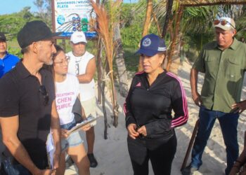 Se respeta la opinión y harán consulta ciudadana en Playa del Carmen