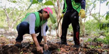 Invita Dirección de Juventud de Puerto Morelos a ciudadanía a participar en jornada de reforestación